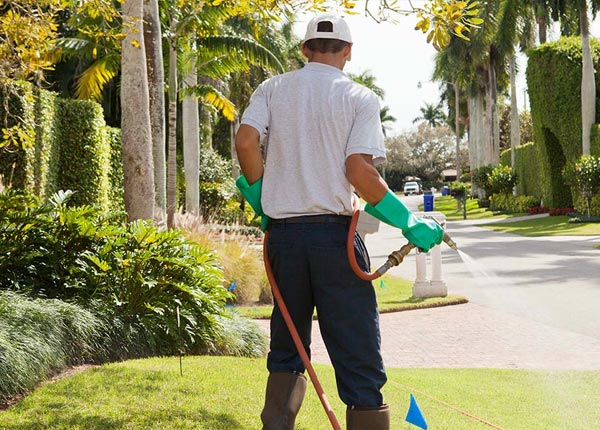 About Glenview IL Pest Control